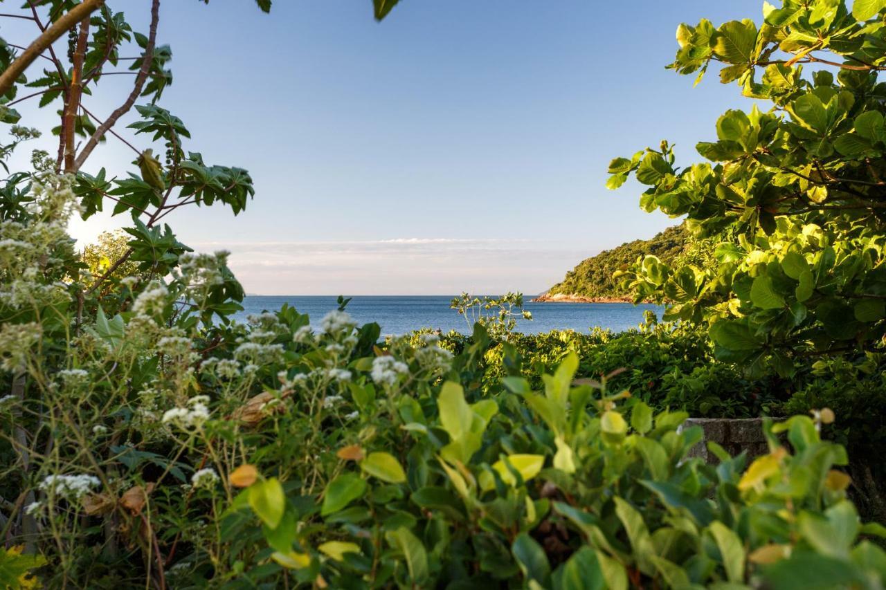 Apartamento Com 4 Suites Pe Na Areia Florianópolis Eksteriør bilde